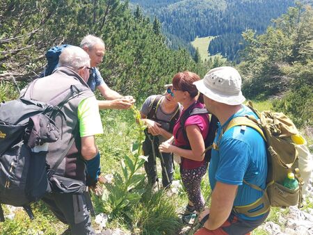 Foto Občina Ilirska Bistrica (9)